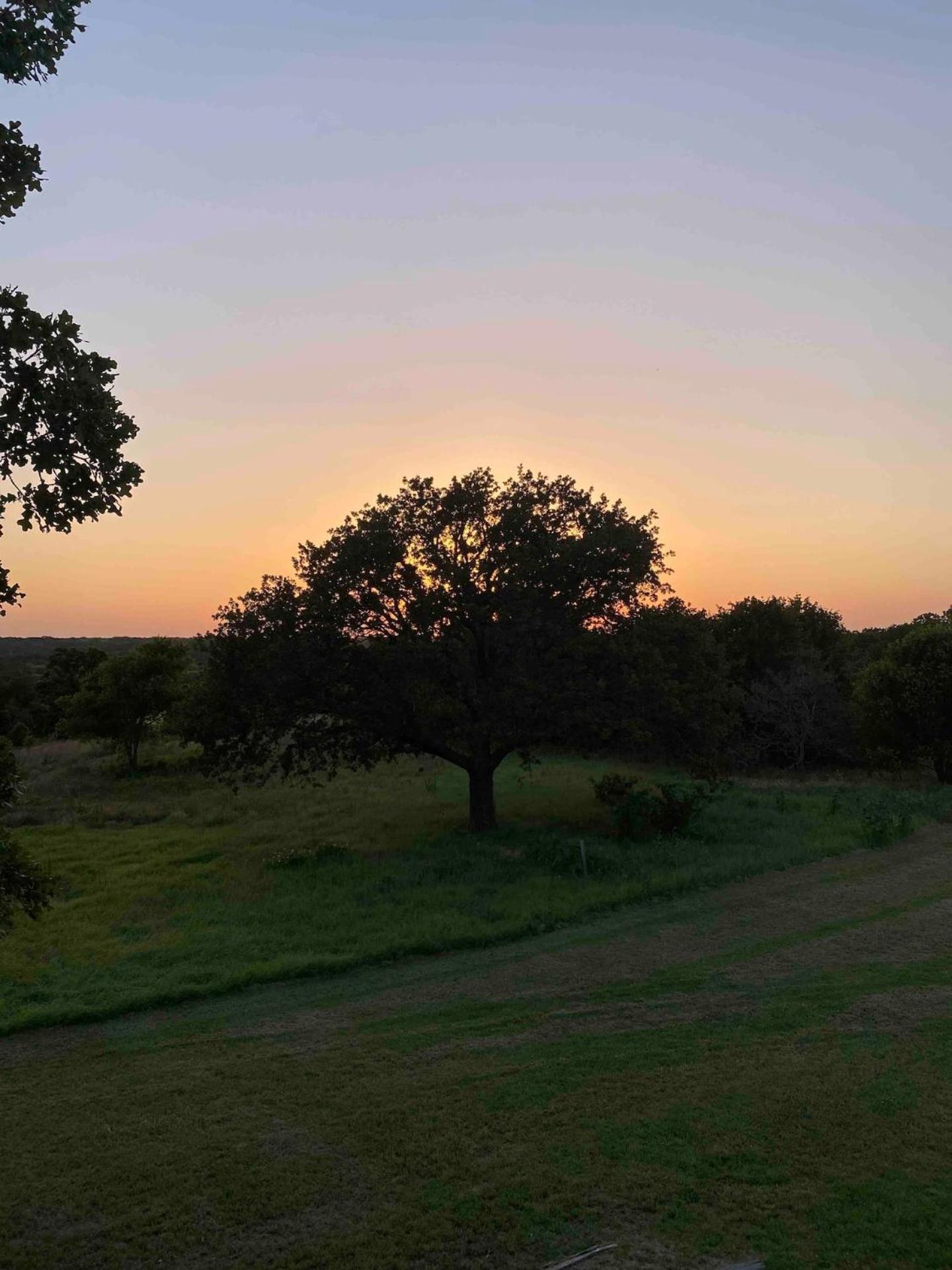 Nature Retreateclectic Country Boho Farmhouse Nocona Kültér fotó