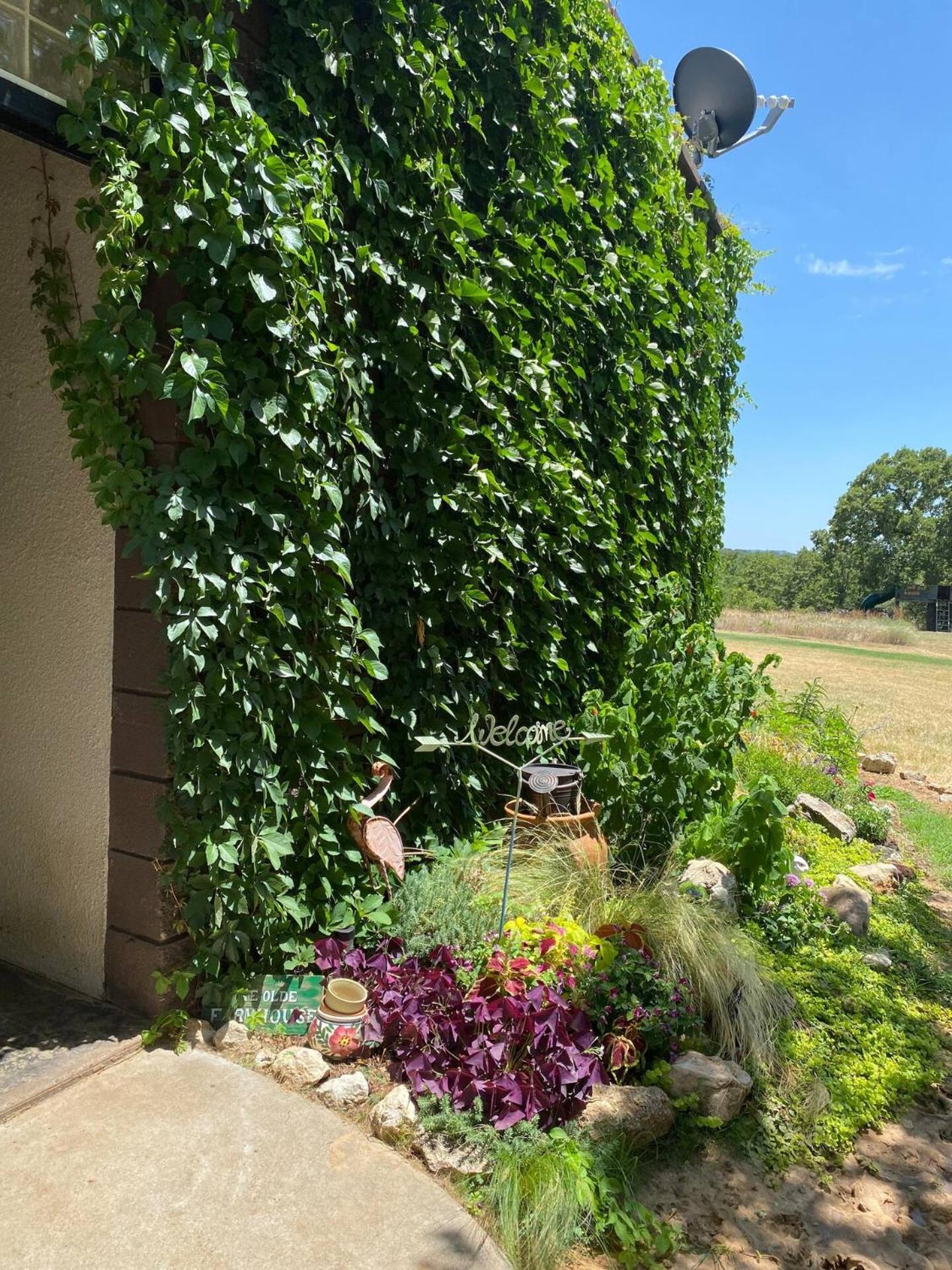 Nature Retreateclectic Country Boho Farmhouse Nocona Kültér fotó